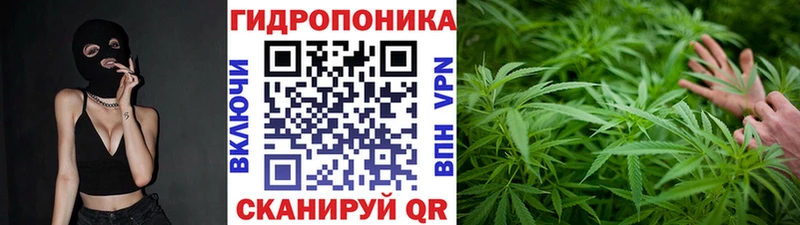 Магазины продажи наркотиков Люберцы СК  Галлюциногенные грибы  Мефедрон  Амфетамин  Гашиш  ЭКСТАЗИ  Бошки Шишки 