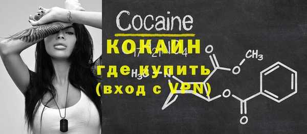 мет Ельня