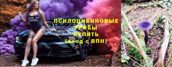 прущая мука Елабуга