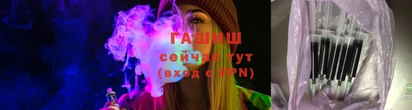 мет Ельня