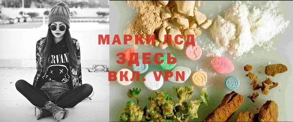 мет Ельня