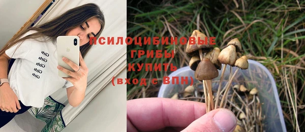 прущая мука Елабуга