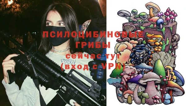 прущая мука Елабуга