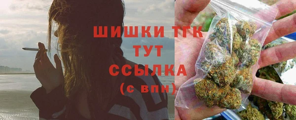 мет Ельня
