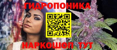 кокс Кандалакша