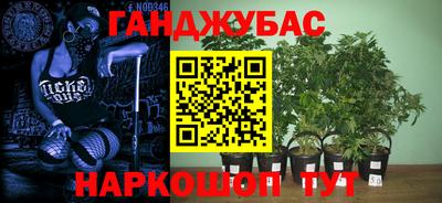 мяу мяу мука Канаш