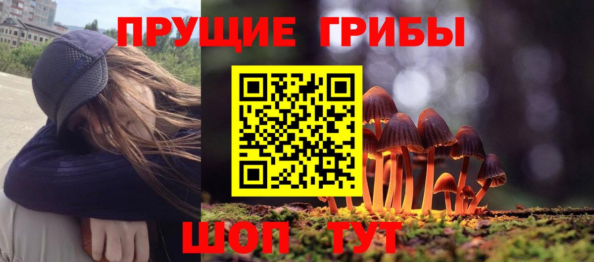 Галлюциногенные грибы прущие грибы  купить наркотик  Люберцы  Вход с VPN 